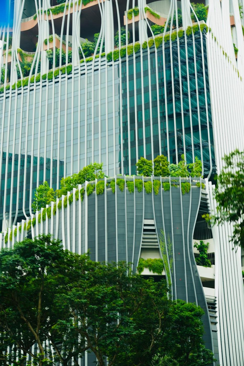 Junction Tech Hub