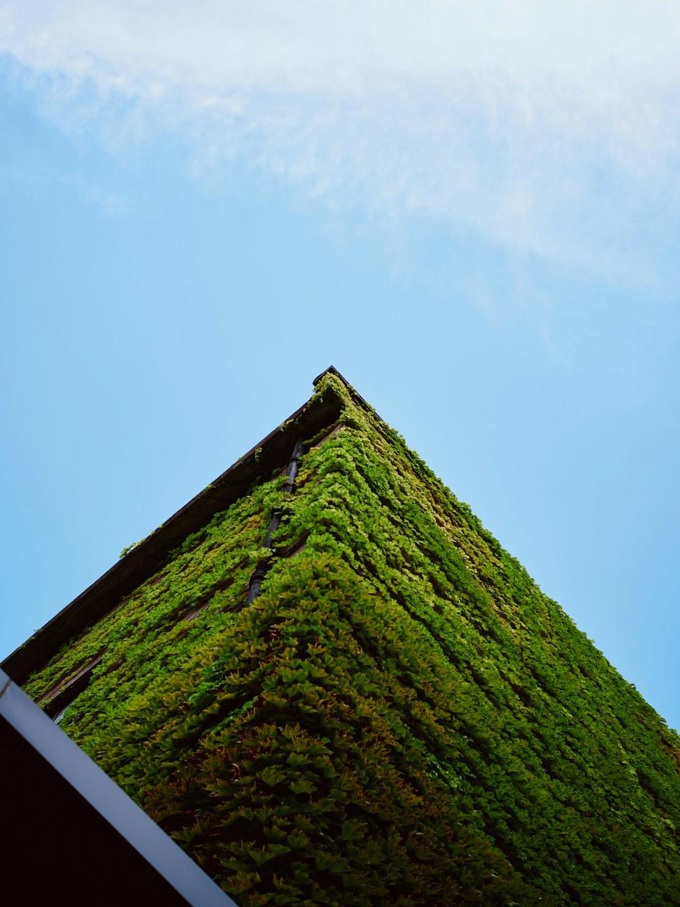 Green roof installation